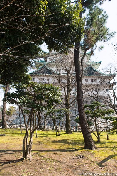 20150312_112324 D4S.jpg - Nagoya Castle